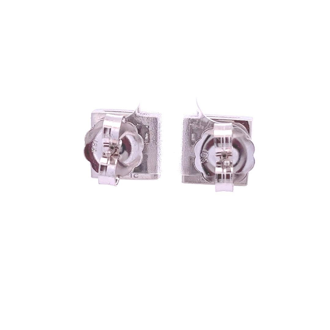 Platinum Stud Style Earrings