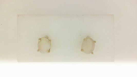 14Kt Y-Gold Opal Stud Earrings