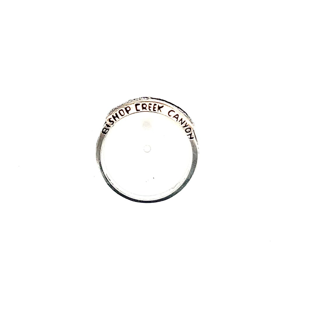 Silver Bishop Creek Canyon Scene Ring Black Enamel