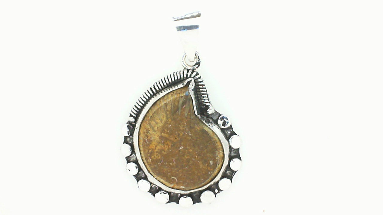 Silver Shell Fossil Pendant w/ Rocky Front