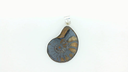 Silver Sea Shell Fossil Pendant