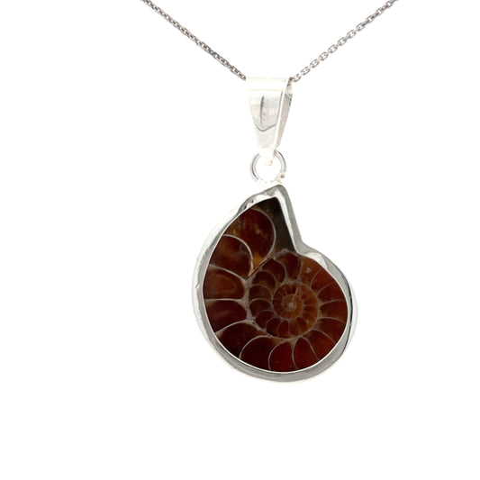 Silver Pendant w/ Shell Fossil Pendant